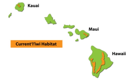 This map of the Hawaiian Islands shows approximate ranges and should not be used for planning purposes