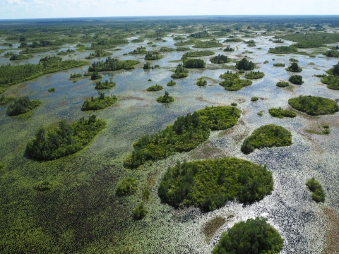 Arial view of wetlands at Okefenokee National Wildlife Refuge.