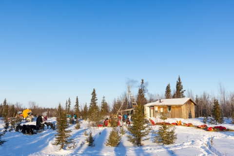 Several dogsled teams rest in the snow near a wood cabin