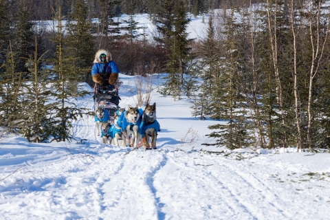 A musher in full parka with a dogsled team on a winter trail