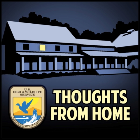 Thoughts From Home Podcast Graphic from the National Conservation Training Center 