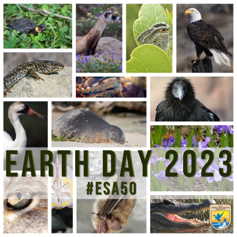 2023 Earth Day collage of animals and Service's logo in the bottom right corner.