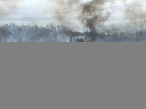 Smoke rises from the charred black ground after a prescribed burn has passed through a forested area.