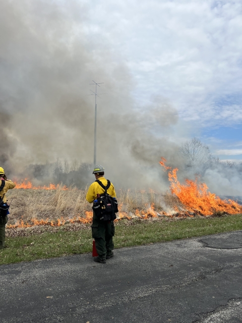 Prescribed burn at Patuxent research refuge