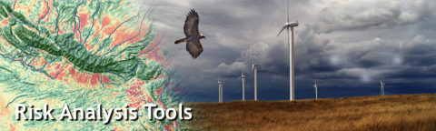 composite image of topographical map and a golden eagle flying with wind turbines in the background