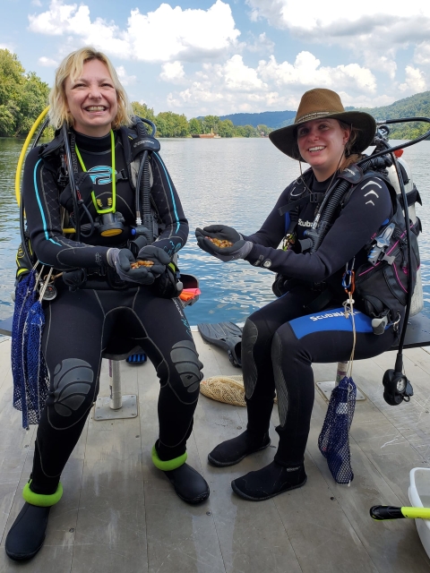 Two divers hold mussels on a boat