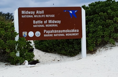 The Midway Atoll National Wildlife Refuge sign on Midway Atoll. A Laysan albatross sits in front. 