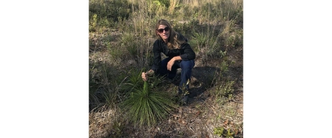 Melanie Kaesor, USFWS ecologist at Tyndall Air Force Base, cradles a young longleaf pine.
