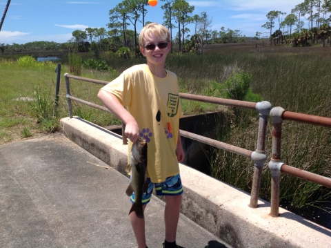 Young boy catches a fish during summer camp at the St. Marks National Wildlife Refuge