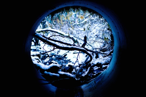 looking out at a snowy stream from within a round metal culvert pipe.