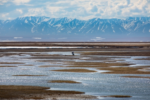 wetlands in Alaska, with snow-covered mountain range in background