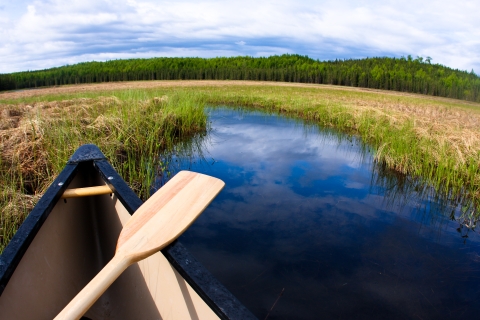 bow of a canoe in a narrow waterway with wetlands and forest