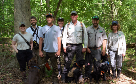 seven people in the woods pose with four leashed dogs