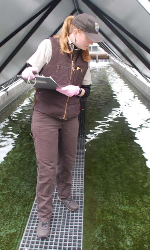 A woman wearing a USFWS uniform and hat with a ponytail stands on a walkway holding a clipboard while looking down into water.