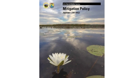 U.S. Fish and Wildlife Service Mitigation Policy, Appendix 1, 501 FW 2