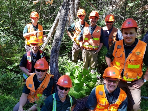A group of people in hard hats and reflective vests in the woods