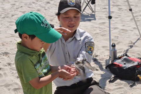 A person in a U.S. Fish and Wildlife Service uniform helps a small child with a green cap and green shirt release a shorebird on a beach.