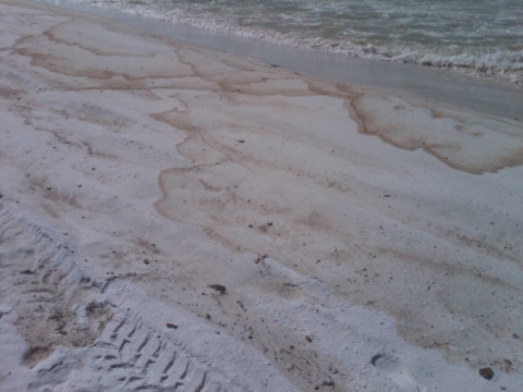 A dark line is visible against light-colored sand where oil has washed up on shore after the Deepwater Horizon Oil Spill in 2010.