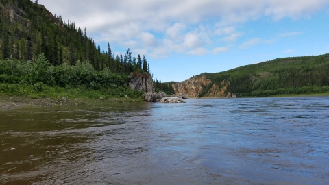 View from a river of boreal forest and bluffs