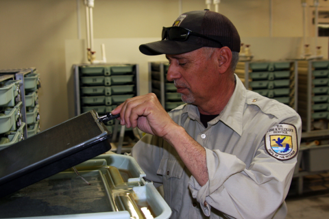 Person wearing a U.S. Fish and Wildlife Service uniform works in a lab.