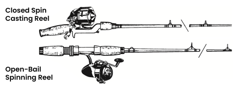 Illustration showing a closed spin casting reel and and an open-bail spinning reel