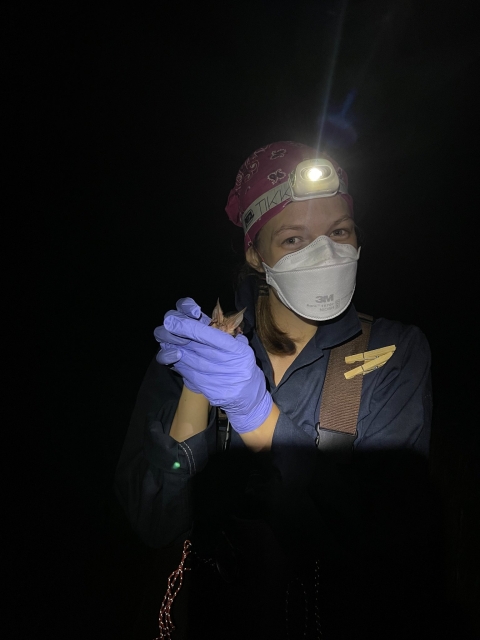 a person in a mask and gloves holds a bat at night