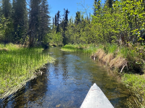 bow of a canoe in a narrow waterway with forest