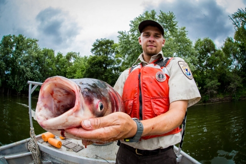 A person in a Service uniform and life vest holds a large hideous fish with bulging eyes and a gaping mouth up the camera. 