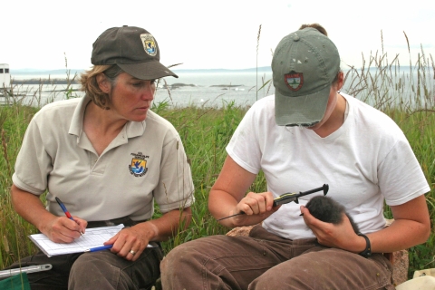 Photo of U.S. Fish and Wildlife Service employees measuring a bird