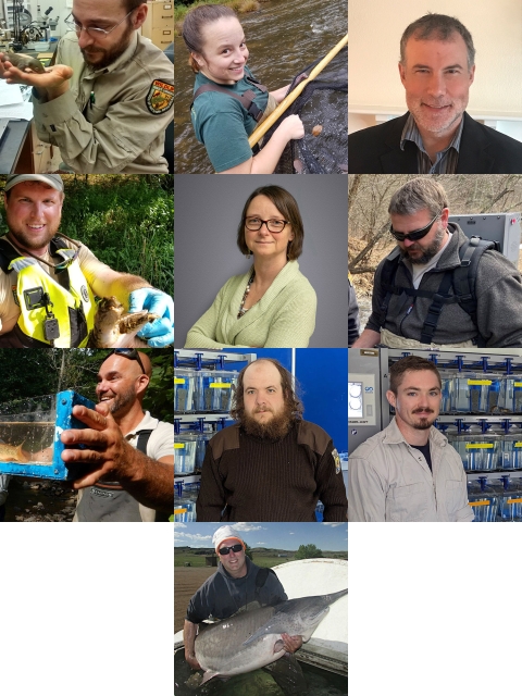 Montage of members of the Candy Darter Conservation Team.