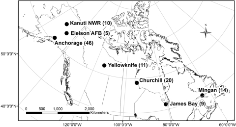 Map of study locations: Anchorage, Kanuti NWR, Eielson AFB, Yellowknife, Churchill, James Bay, Mingan