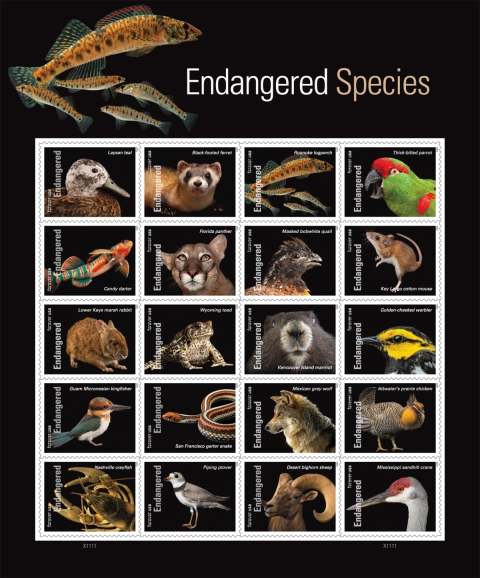 Sheet of 20 stamps with text at top: “Endangered Species”; each stamp has text on left that reads "Forever USA," with forever crossed out and "Endangered"; image and species name on rest of stamp
