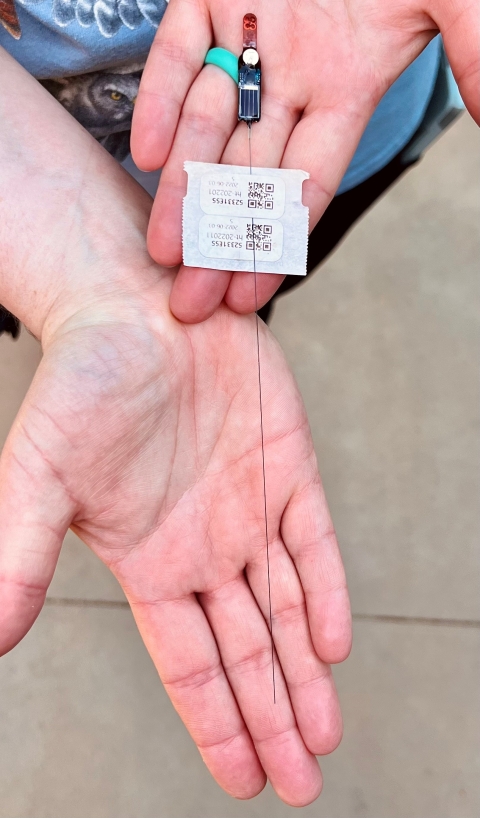 A persons hands with a Motus nanotag 