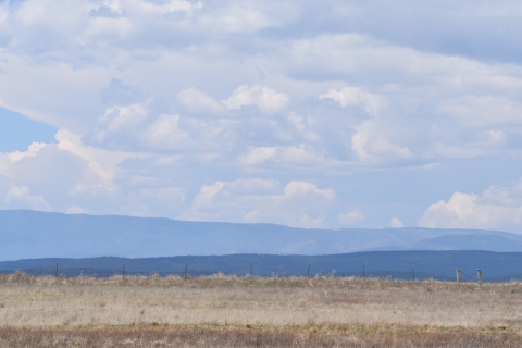 mountain view and prairie grasslands