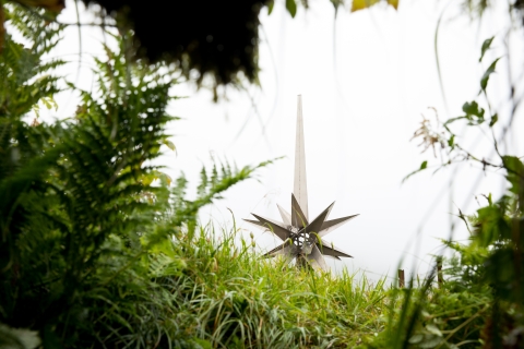 A spiked metal star memorial framed by green ferns and grass