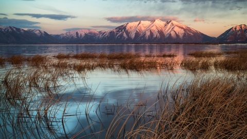 a lake with grasses in foreground and snowcapped mountains in background