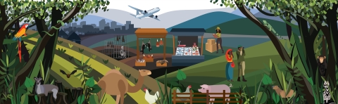 A graphic depiction of a variety of human, wildlife, domestic animal, and environmental interactions, including cut down trees, selling wildlife and products in markets, inspecting live shipments, and diversity and community in wildlife and environmental conservation. 