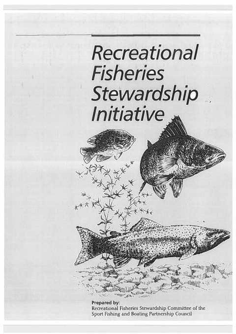 Black and white report cover featuring title text and 3 fish swimming along a stream bed.