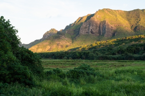 A glowing mountain at sunset sits behind a wetlands in shadow