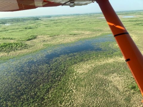 Aerial view of wetlands