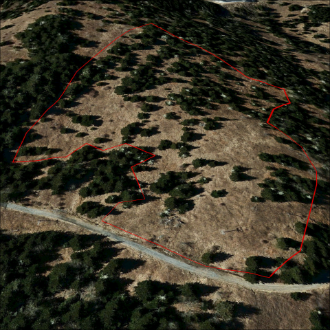 Aerial view of a hill showing tree location, with a central area delineated with a red line