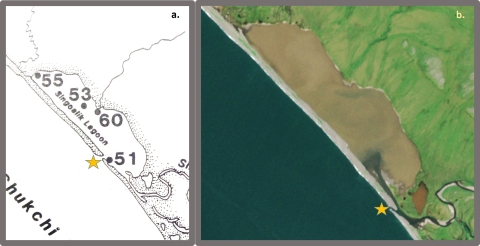 A side-by-side drawing (left) of Singoalik Lagoon, compared to satellite photography of the lagoon (right), showing how its marine connection has moved from 1983 to 2021.