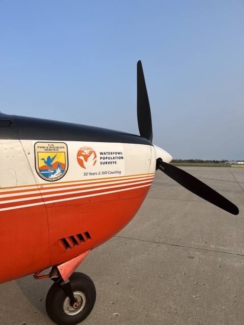 front end of an airplane used by the us fish and wildlife service migratory bird surveys