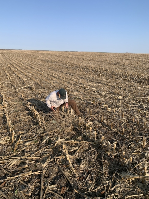 Dan Collins sitting in a plowed cropfield checking a nest of a hen that was marked through this project