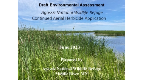 cover of Draft EA document