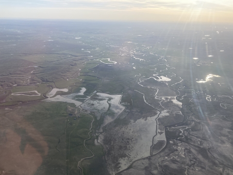 aerial view of wetlands 