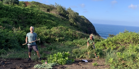 A man and a woman stand on a green ocean bluff. He is holding a pick axe. She is holding a large green weed that she just pulled. They are looking at the camera and smiling. 