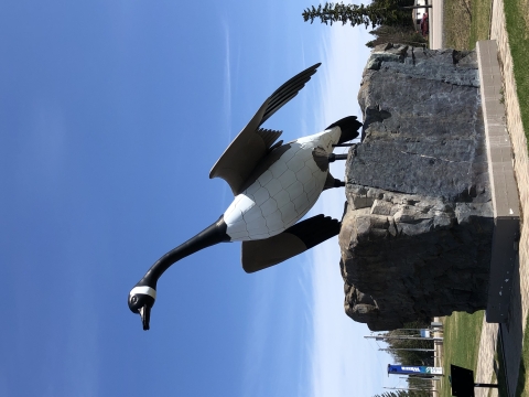 Giant Canada goose statue in Ontario