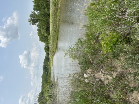 A view of Boyer Chute