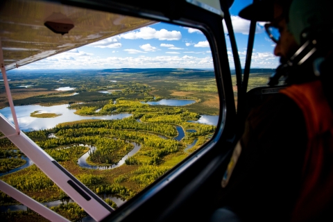 a person looks out the window of a small plane at wetlands below